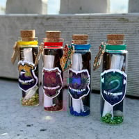Image 15 of HP Houses - Message in a Bottle