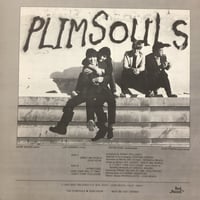Image 2 of The Plimsouls - Zero Hour