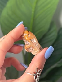 Image 2 of TUMBLED AGATE #36 -LAGUNA-