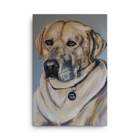 Image 2 of Handsome Yellow Lab