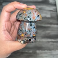 Image 5 of Ocean Jasper Mushroom Turtle 