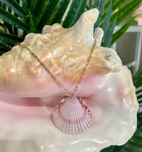 Image 1 of Scallop Shell Necklace N172