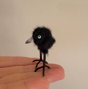 Image of Very Tiny Raven Baby #1