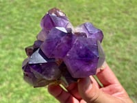 Image 7 of Amethyst Points Cluster |Congo #2910