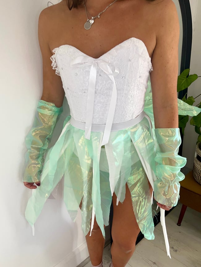 Fairy costume