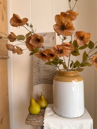 Image 1 of Autumn Poppies ( set of 3 )