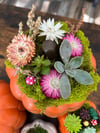 24oz. Large Ceramic Pumpkin Candle & Succulent Workshop