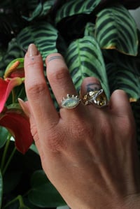 Image 3 of Eye of Protection