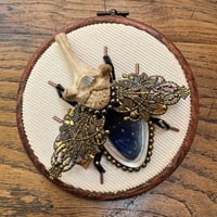 Image 4 of Butterfly beetle (b, 4 inches)