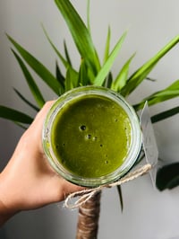 Image 2 of Organic Earth Moringa