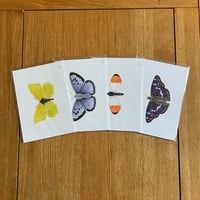 Image 1 of Butterfly Print #1 - Various Designs