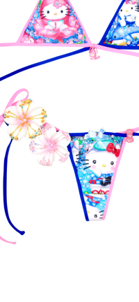 Image 8 of Shrimp& dolphin beach vibe