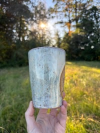 Image 2 of Lady cutter + cattle dog