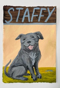 Staffy