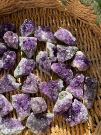 Image 5 of Amethyst Clusters (Medium)