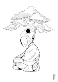 Image 1 of Bonsai 