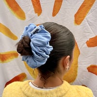 Image 1 of blue 