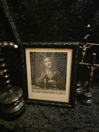Image 1 of "Jesus" 1800s Bible Page With Preserved Web 