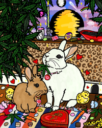 Image 3 of BABE BUNNIES!! 