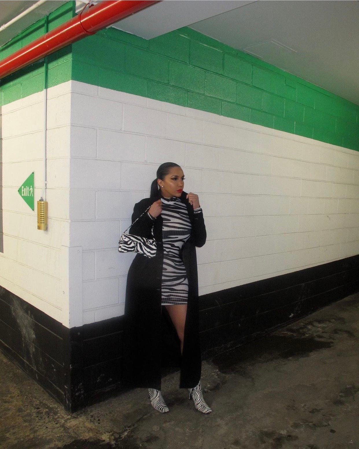 Image of ZEBRA PRINT TURTLENECK MINI DRESS (USA SIZE 8)
