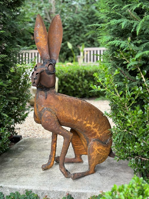 Image of Garden Hare V 