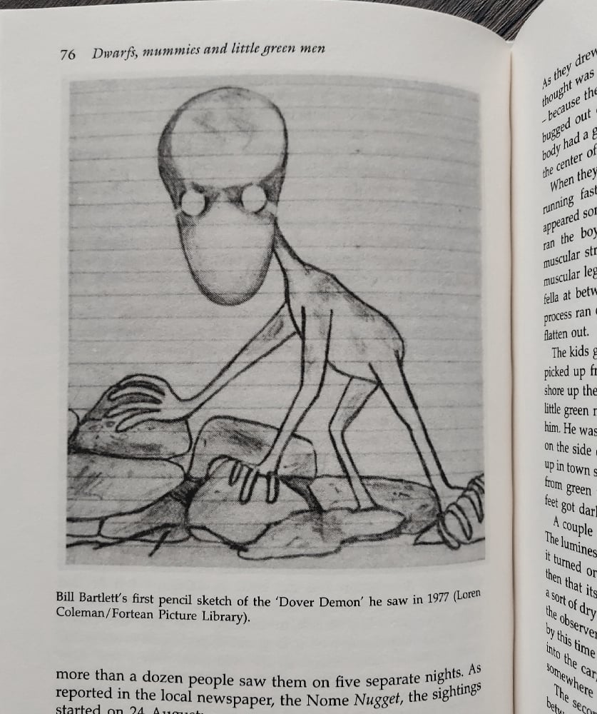 Fairies: Real Encounters with Little People, by Janet Bord