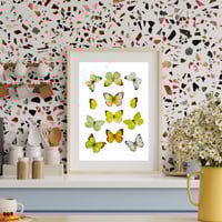 Image 3 of Yellow Butterflies LIMITED EDITION PRINT