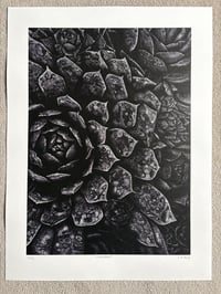 Image 1 of ‘Succulent’ Original Lino print