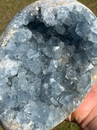Image 3 of Celestite Cluster #1059