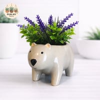 Wombat Planter Pot