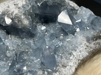 Image 7 of Celestite Cluster #2399