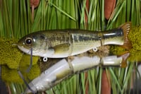 Full Size Floater 3pc - Baby Bass