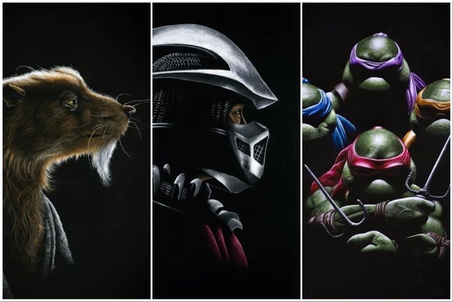 TMNT bundle (save $25)