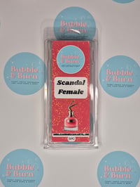 Wax Melts Clamshell - scandal female 