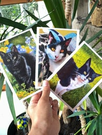 Image 2 of Cats Greeting Card 3Pack