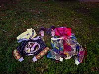 Image 3 of Double Venom