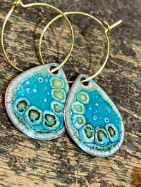 Image 6 of Blue Green Beauties 