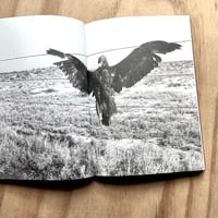Image 3 of Dorothea Lange / Sam Contis - Day Sleeper 
