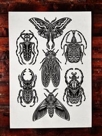 Image 2 of Bug Print 