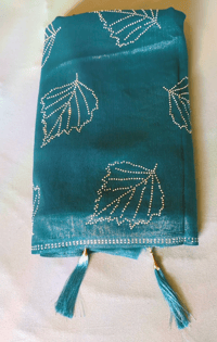 Image 4 of Bisakha_Premium Tissue Saree 