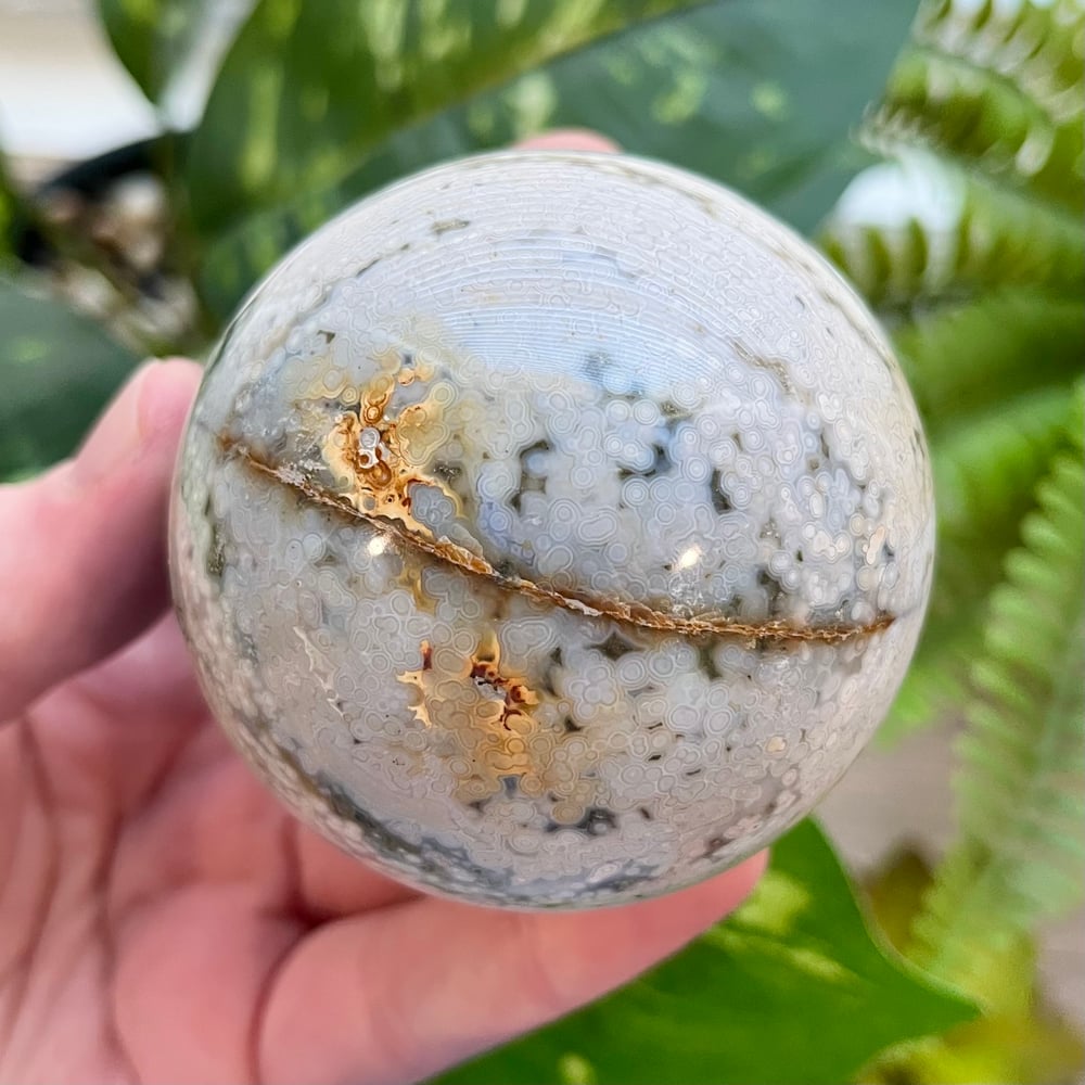 Sea Jasper Sphere D