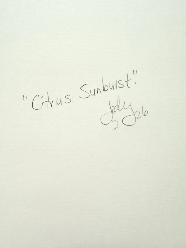 Citrus sunburst. Original 9x12 paper painting.