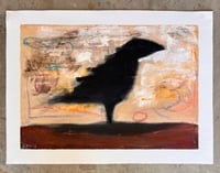 Image 1 of Dark Bird 081124