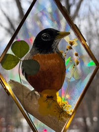Image 2 of Robin Suncatcher 