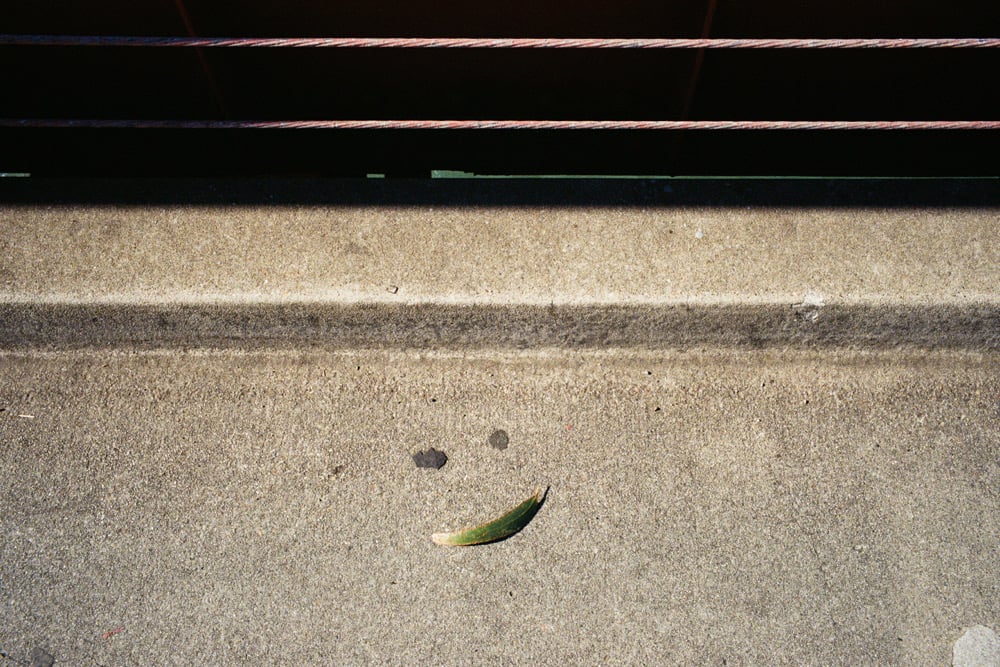 Image of 2020 "Addition To Zine" Postcard Set 