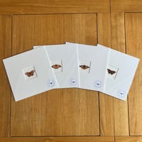 Image 1 of Various 9x9 Small Butterfly Giclee Prints