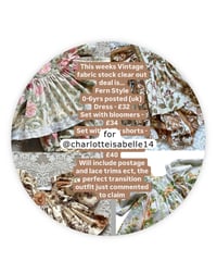 Image 2 of for @charlotteisabelle14 - Vintage Fern Deal