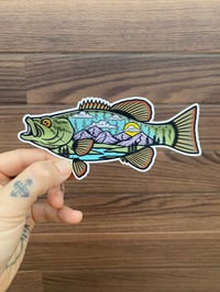 Ozark Smallmouth Sticker