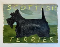 Scottish Terrier