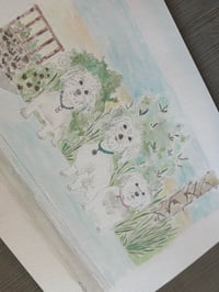 Watercolr Puppy Portraits  